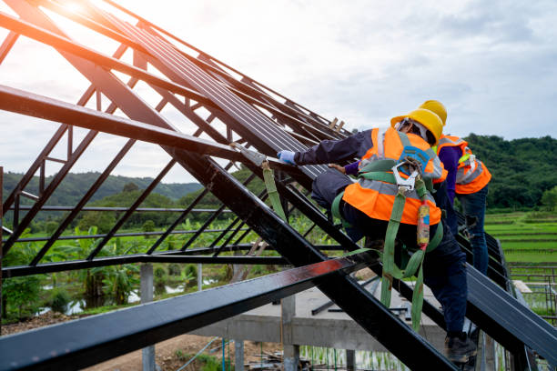 Best Roof Waterproofing Services  in Newk, AR