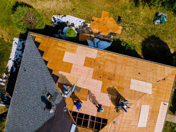 Best Residential Roofing Contractor  in Newk, AR