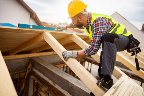 Best Roof Maintenance Services  in Newk, AR