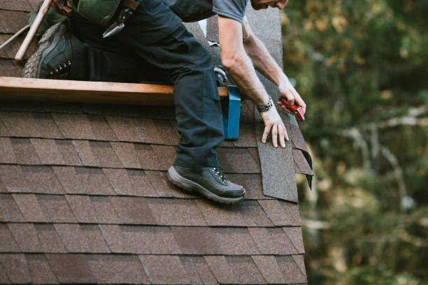 Best Roof Repair Services  in Newk, AR
