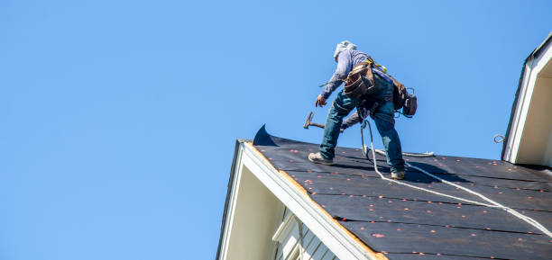 Best Shingle Roofing Installation  in Newk, AR